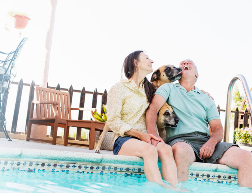 Se para a piscina levar o seu cão, faça-o com alegria e precaução!