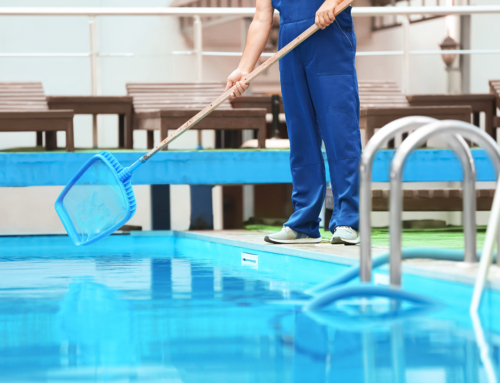 Saiba como fazer a limpeza de Outono da sua piscina!