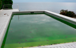 piscina está verde