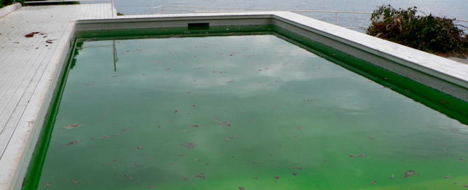 piscina está verde