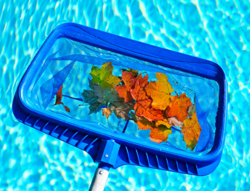 Prepare a sua piscina para o Outono com a Mabipiscinas!